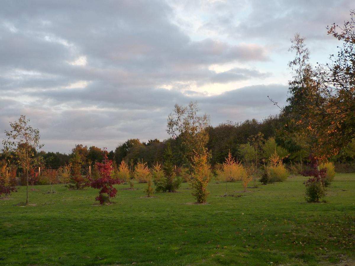 La Serpauderie Saint-André-de-Lidon Exteriér fotografie