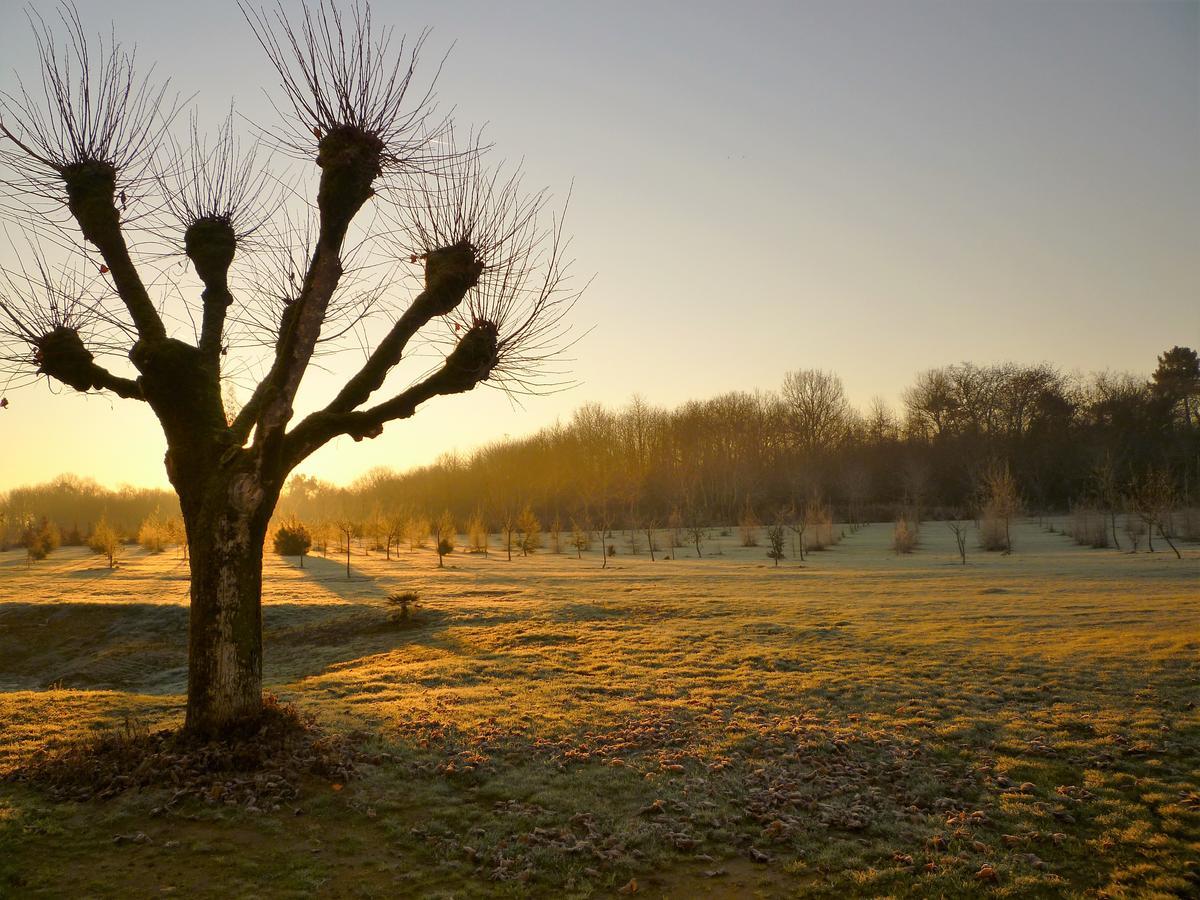 La Serpauderie Saint-André-de-Lidon Exteriér fotografie